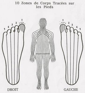 Un schema représentant les zones sensibles des mains